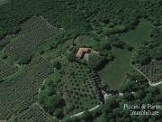 Strada Vic. della Montagna 9 23 vani 700mq