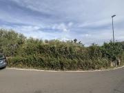 Strada Viola 4 1500mq