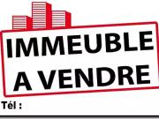 Strasbourg 67000 Achat / Vente immeuble