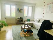 STRASBOURG Forêt noire Appartement 2 pièces