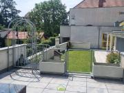 Hochwertige Singlewohnung mit großer Terrasse in...