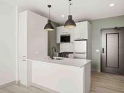 Studio, 1 bath, Condo 1717 W Webster Ave