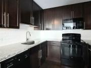 Studio, 1 bath, Condo 669 N Clark