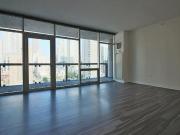 Studio, 1 bath, Condo 811 N La Salle Dr
