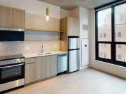 Studio, 1 bath, Condo 826 N Wells St