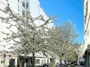 Studio 1 pièce 17 m²