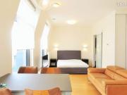 Studio 1 pièce 17 m²