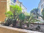 Studio 1 pièce 18 m²