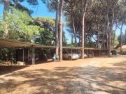 Studio 1 pièce 19 m²