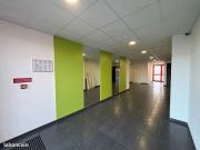 Studio 1 pièce 20 m²