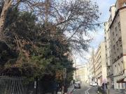 Studio 1 pièce 23 m²