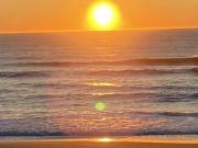 Studio 1 pièce 28 m²