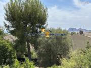 Studio 1 pièce 28 m²