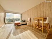 Studio 1 pièce 31 m²