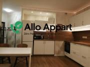 Studio 29 m² meublé– Lyon 01