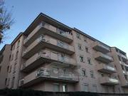 Studio 32 m²