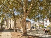 Studio à Bordeaux à louer Locagestion, expert en gestion...