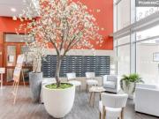 Studio à Dinan à louer Locagestion, expert en gestion...