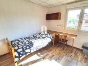 Studio à Illkirch Graffenstaden à louer Locagestion,...