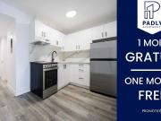 Studio à Louer 955 boul. René Lévesque Est, Ville Marie...