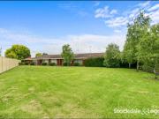 Studio Apartment Available Soon! Studio Apartment Available Soon!