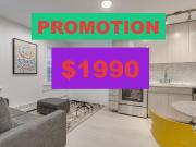 Studio Apartment for Rent at 1425 Haro Street #105,...