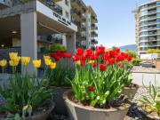 Studio Apartment for Rent at 145 West Keith Road #601,...