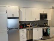 Studio Apartment for Rent at 515 Chapel Street #1 N,...