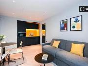 Studio apartment for rent in Dublin Docklands, Dublin
