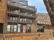 Studio apartment for rent in Regent Terrace, Cambridge, CB2