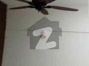 Studio apartment for rent Saba commercial DHA phase 5... Studio apartment for rent Saba commercial DHA phase 5...