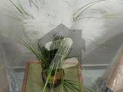 Studio Apartment Fully Furnished For Rent in Gulberg