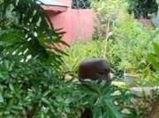 Studio apartment in Auckland Park