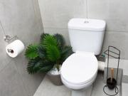 Studio Apartment in Fairland