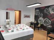 Studio Apartment near Wien Hauptbahnhof, Vienna...