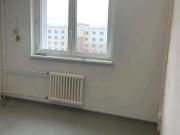 Studio Appartment