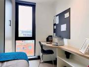Studio Bronze Accessible F Has an Apartment
