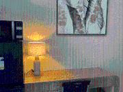 Studio Condo for Rent in Avida Towers Vireo, Western...