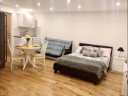 Studio Flat, Cricklewood, NW2