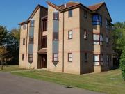 Studio flat for rent in Andrewsfield, Welwyn Garden...