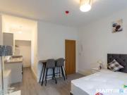 Studio flat for rent in Carlyle Road, Edgbaston, B16