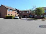 Studio flat for rent in Framlingham Grove, Kenilworth, CV8