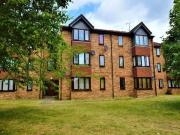 Studio Flat For Rent In Franklin Avenue