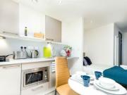 Studio Flat For Rent In Opto Village Studio Flat For Rent In Opto Village