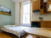 Studio Flat For Rent In Pimlico, London
