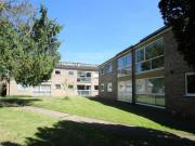 Studio Flat For Rent In Rogers Street