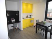 Studio flat for rent in Royal Riverside Apartments, 60...