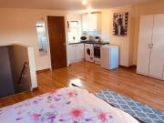 Studio Flat, Green Lanes, N8