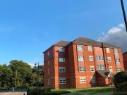 Studio Flat, Molyneux Drive, SW17