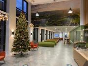 Studio Flat, Nurtur House, S3